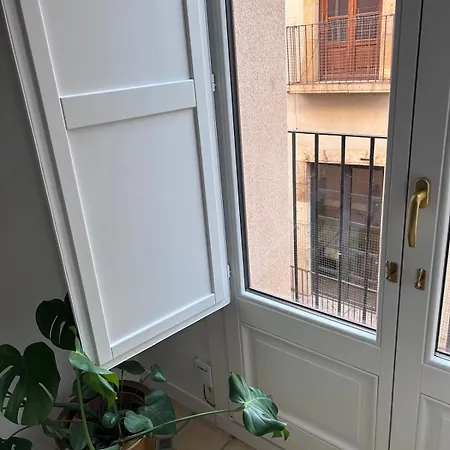 Cavallers 2, Nuevo, En Pleno Centro Histórico Apartamento